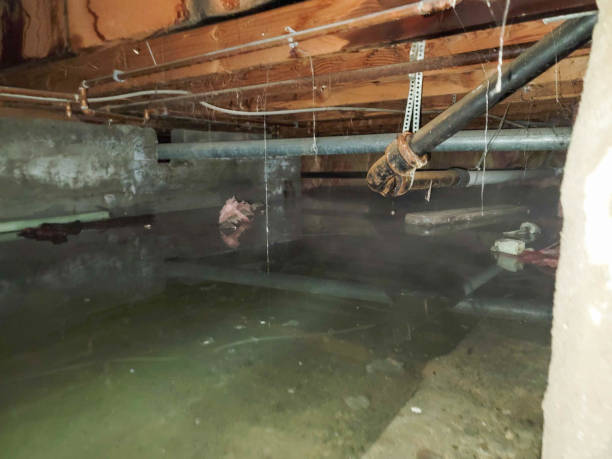 Best 24-hour water damage restoration  in Middlesex, NJ