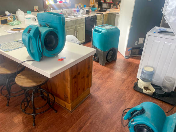 Best Residential water damage restoration  in Middlesex, NJ