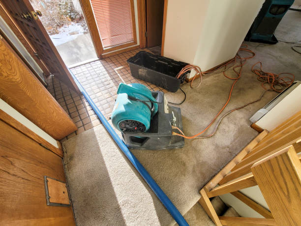 Best Water damage restoration near me  in Middlesex, NJ