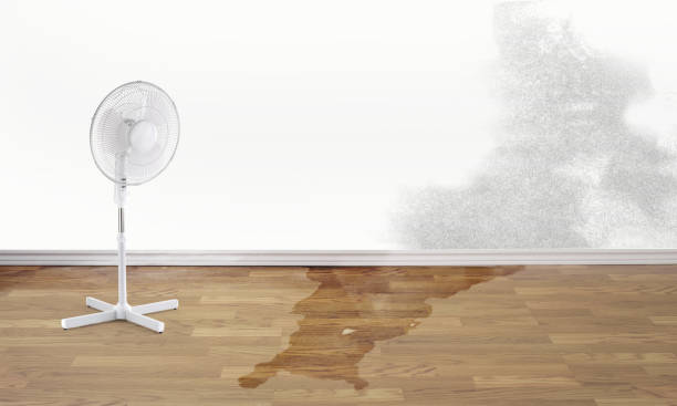 Best Water damage contractors near me  in Middlesex, NJ