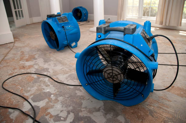 Best Water damage restoration cost  in Middlesex, NJ