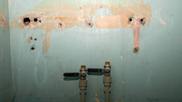 Best Sewage cleanup and water damage restoration  in Middlesex, NJ