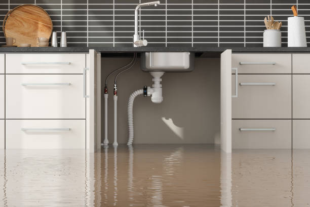 Best Flood restoration services  in Middlesex, NJ